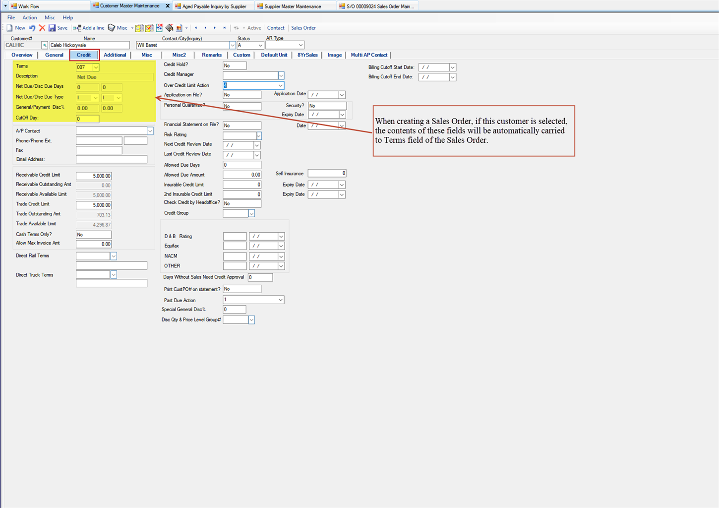 Customer Master Maintenance Credit tab