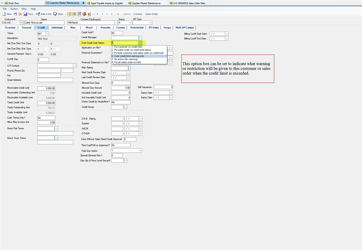Customer Master Maintenance Credit tab